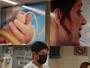 יום הפג הבינלאומי
