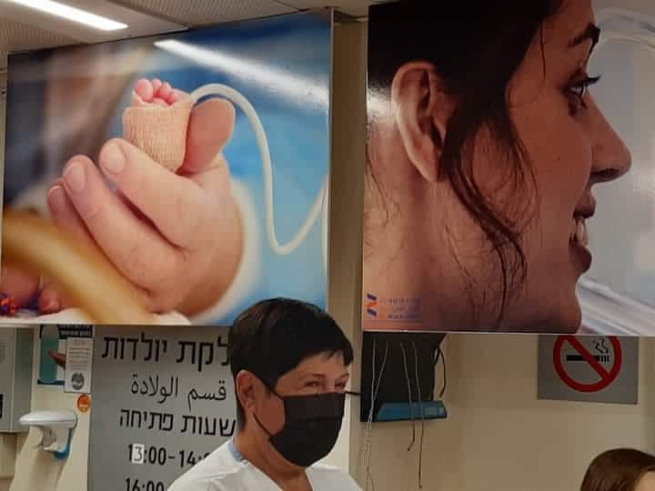 יום הפג הבינלאומי 