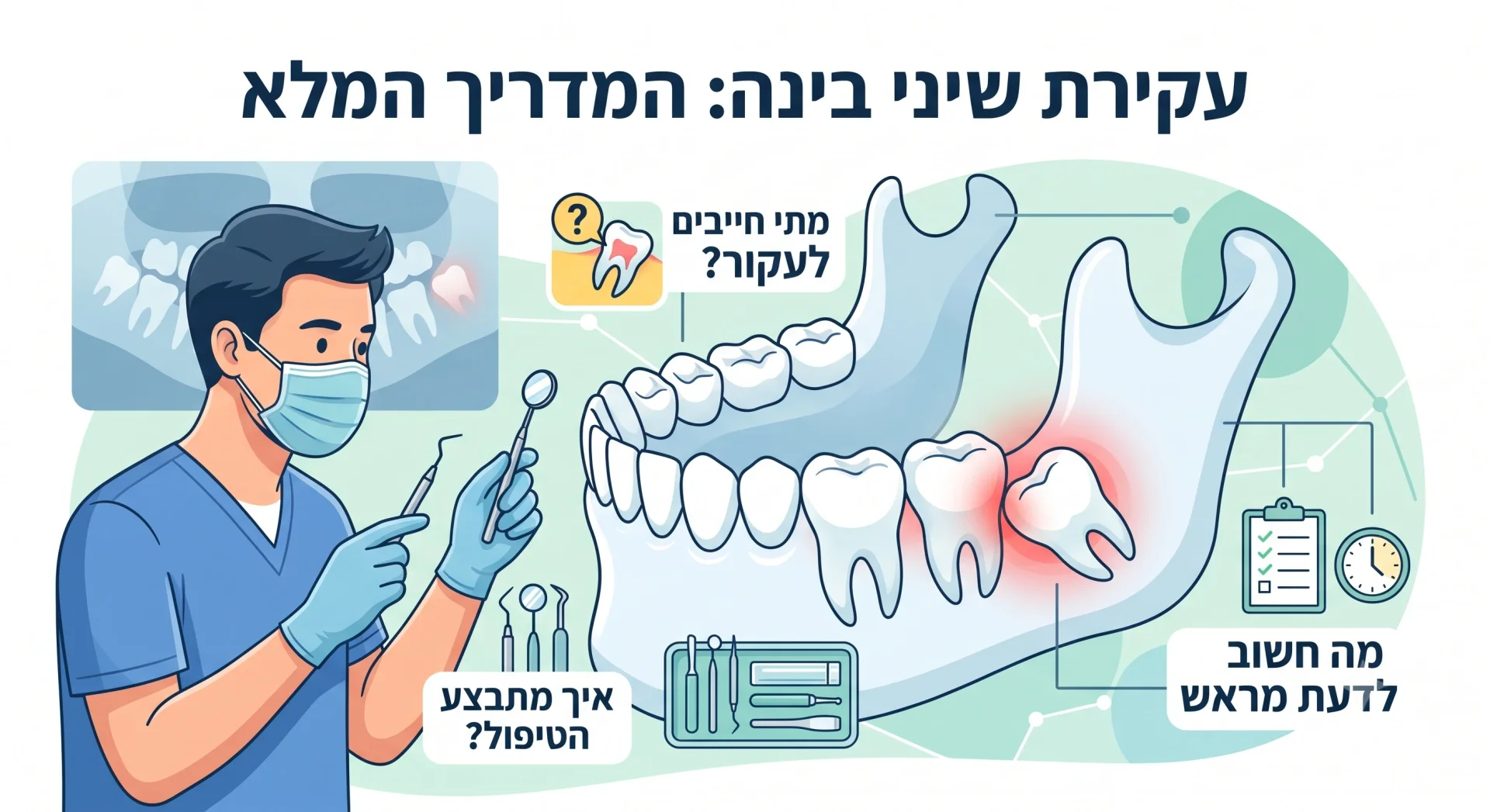 צילום רנטגן של שיני בינה בתוך לסת האדם