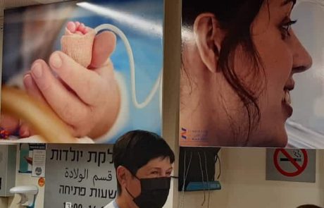 יום הפג הבינלאומי:תערוכת חדשה באשדוד