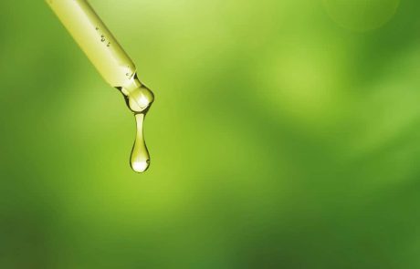 CBD לכלבים בכל הגילאים: כיצד רפאנא יכולה לסייע לכלב המסופר שלכם?